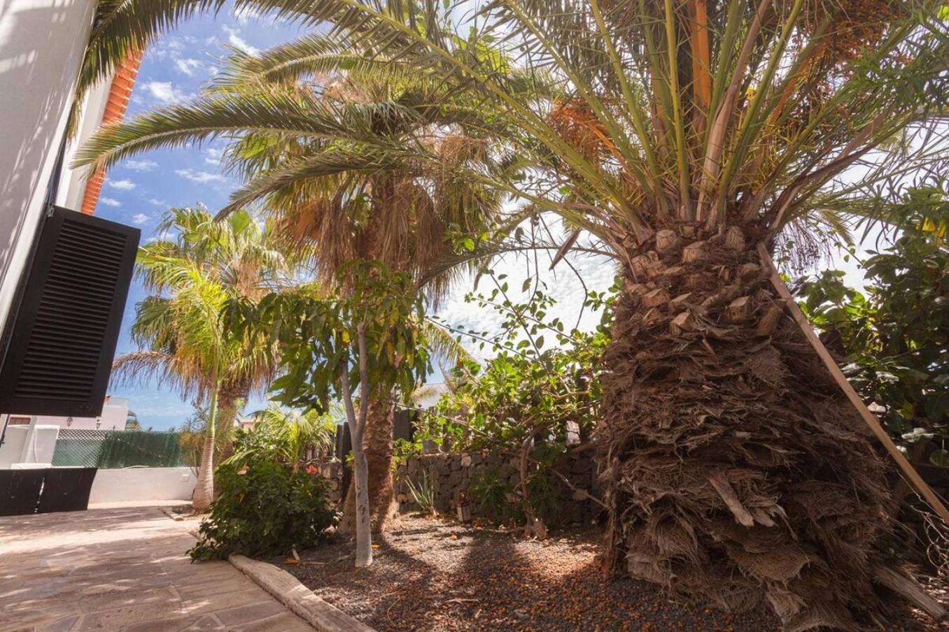 Villa La Quinta - Wonderful 4 Bed Villa-private Pool San Miguel de Abona